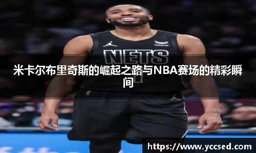 DB旗舰官网