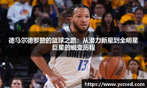 DB旗舰官网