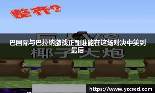 DB旗舰