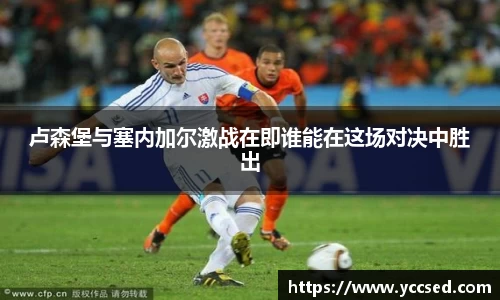 DB旗舰首页