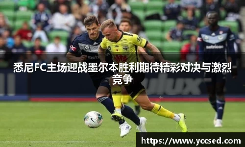 DB旗舰