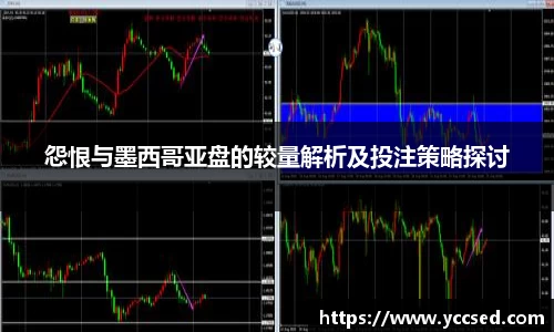 DB旗舰官网