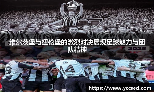 维尔茨堡与纽伦堡的激烈对决展现足球魅力与团队精神