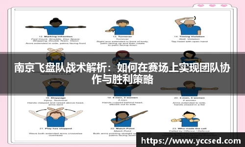 DB旗舰官网