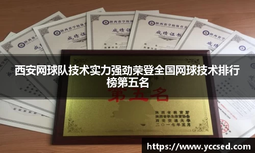 DB旗舰首页