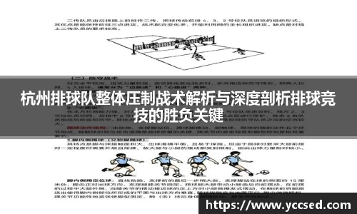 DB旗舰首页